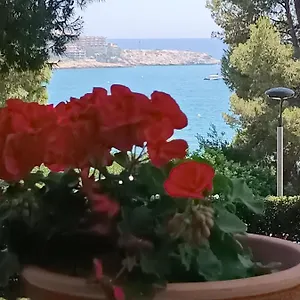  Appartement & Flowers Free Parking